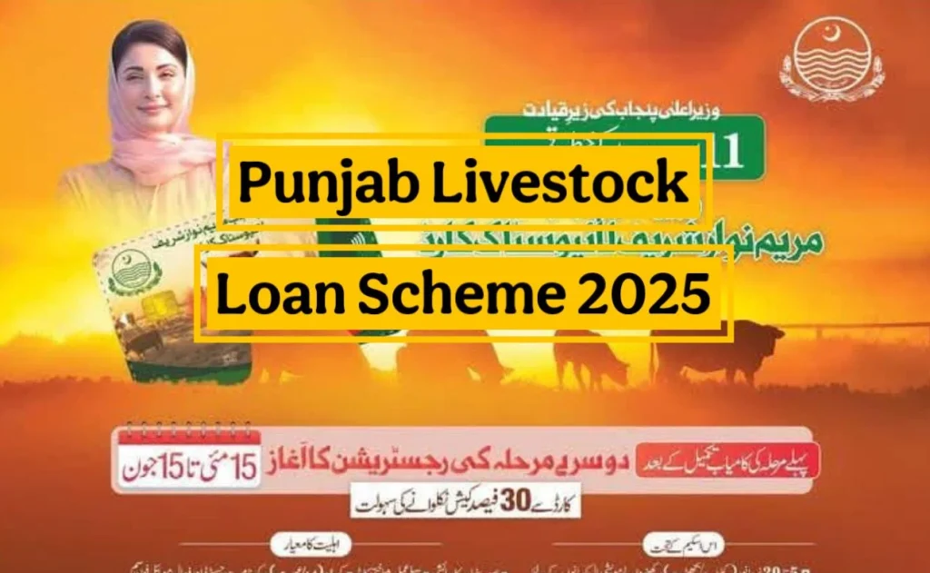 Punjab Livestock Loan Scheme 2025: Your Gateway to Rs. 540,000 Interest-Free Loan with Maryam Nawaz Kisan Card