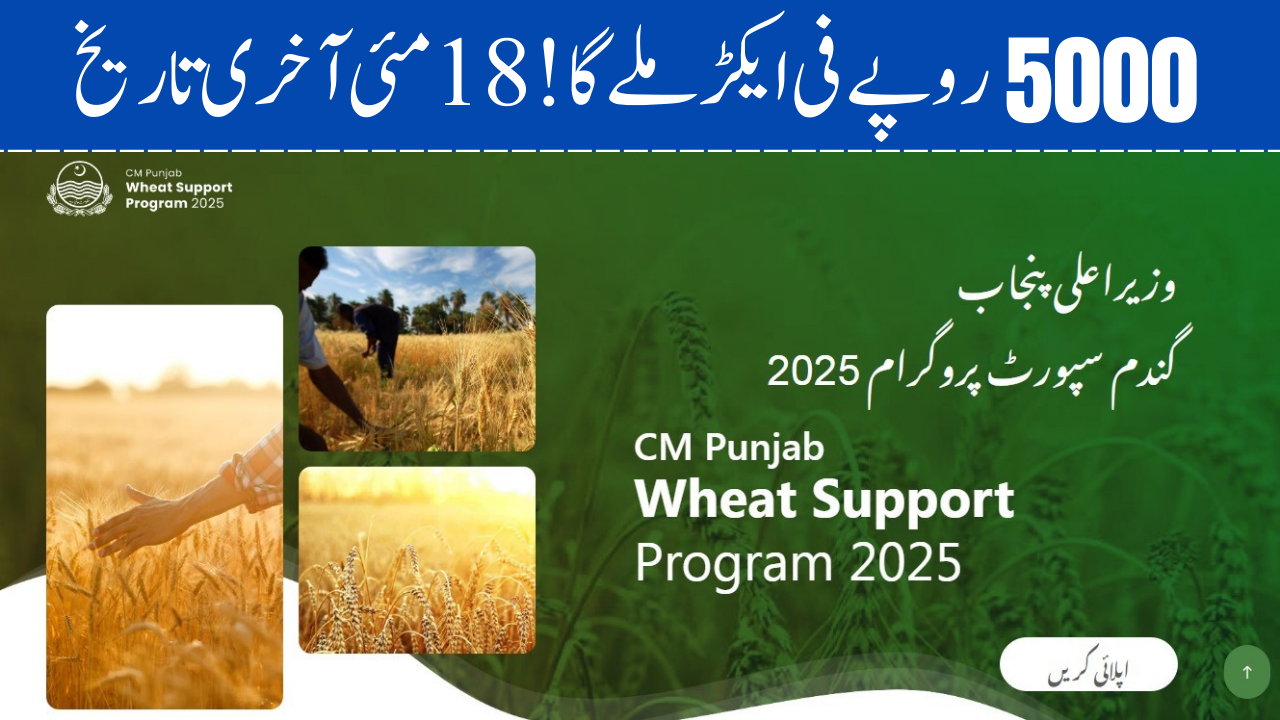 CM Punjab Wheat Support Program 2025 -Online Registration - 5000 Fee Ecar