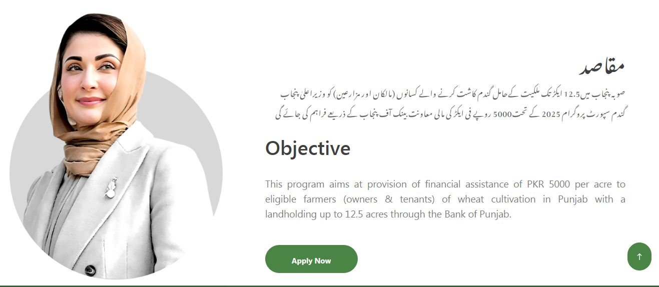 CM Punjab Wheat Support Program 2025