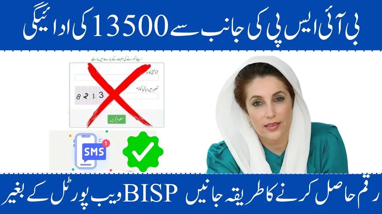 How to Check Your BISP 2025 Payment Offline Without Web portal (3 Simple Methods)