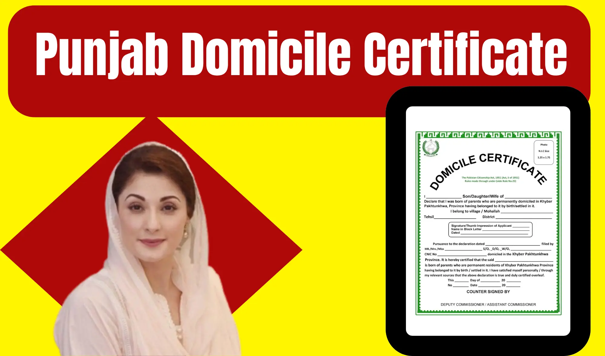✅ Punjab Domicile Certificate 2025: Requirements, Online Apply, and Fees Explained