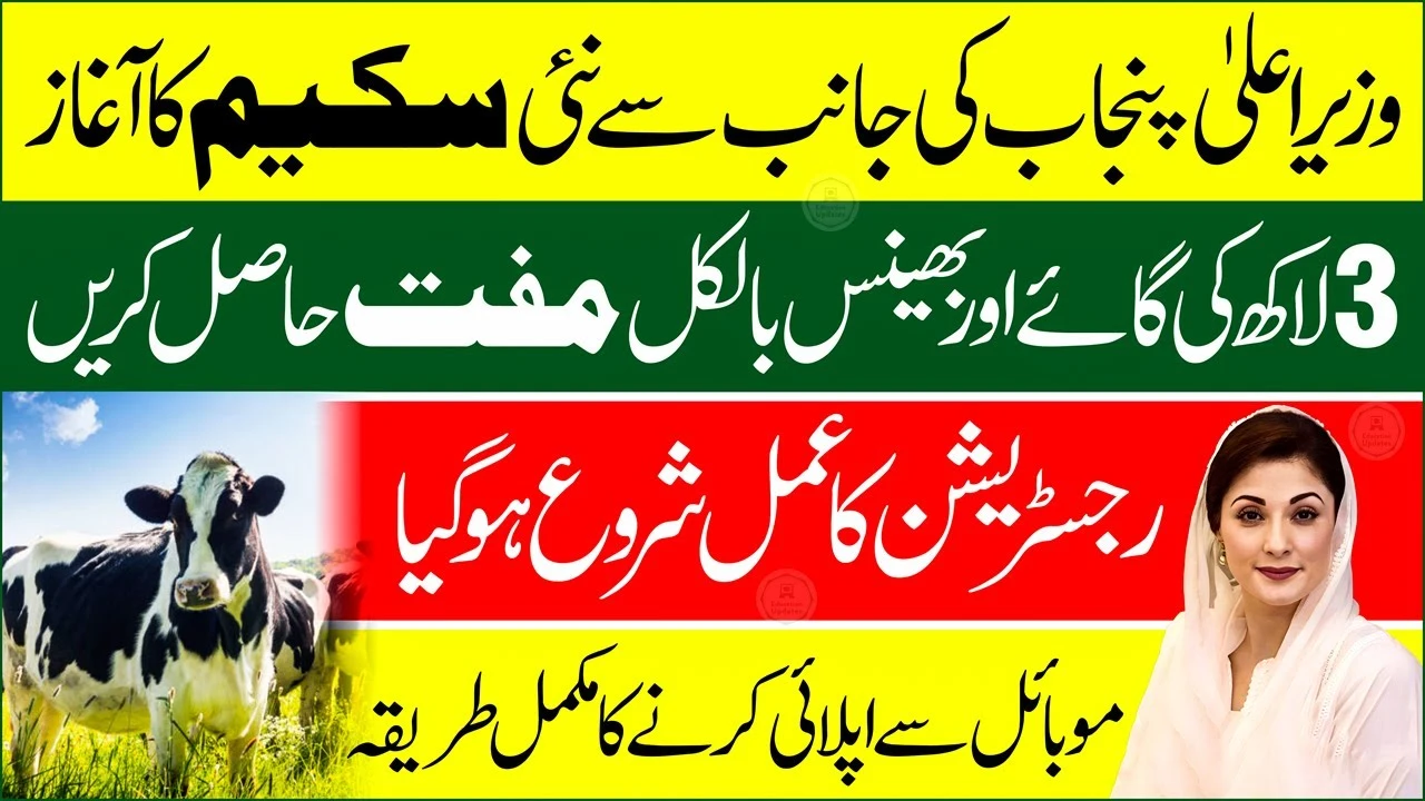 Livestock Program Punjab Phase 2 (2025) – How to Apply for Free Animals & Support Today