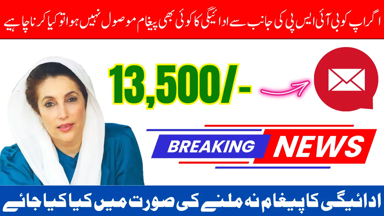 BISP 8171 Payment Message Not Received Check Eligibility Status with 8171 SMS