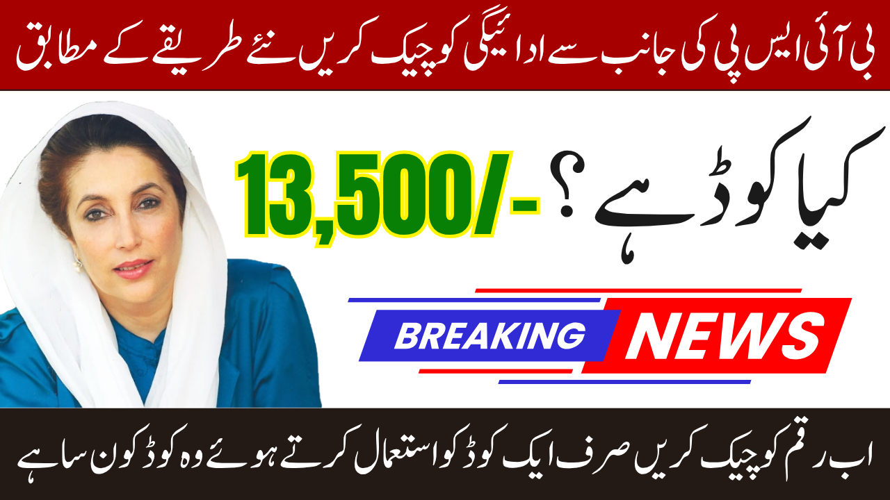 Rxtapk BISP SMS Eligibility Check 2025 – Easy Steps for Newly Registered Women