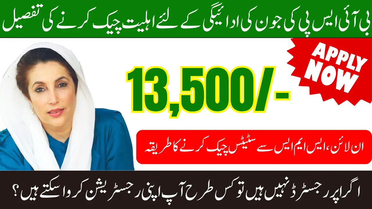 ilmvize 8171 Check Online CNIC 2025 Easy Registration Steps for Ineligible Women