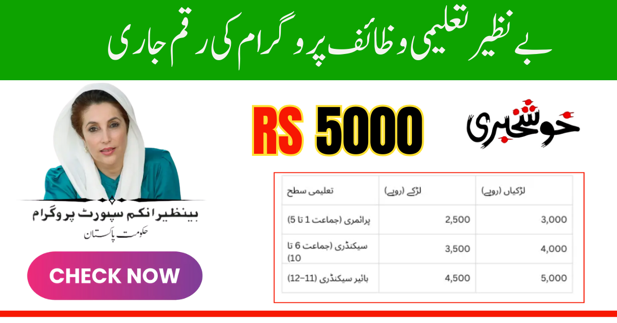 BISP 8171 Portal Update July 2025 – Full Guide to Check Eligibility and Receive New Rs.13,500 Payment (1)