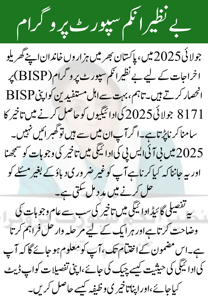 BISP Payment Delay Reasons July 2025 and Their Solutions – Step-by-Step Full Guide