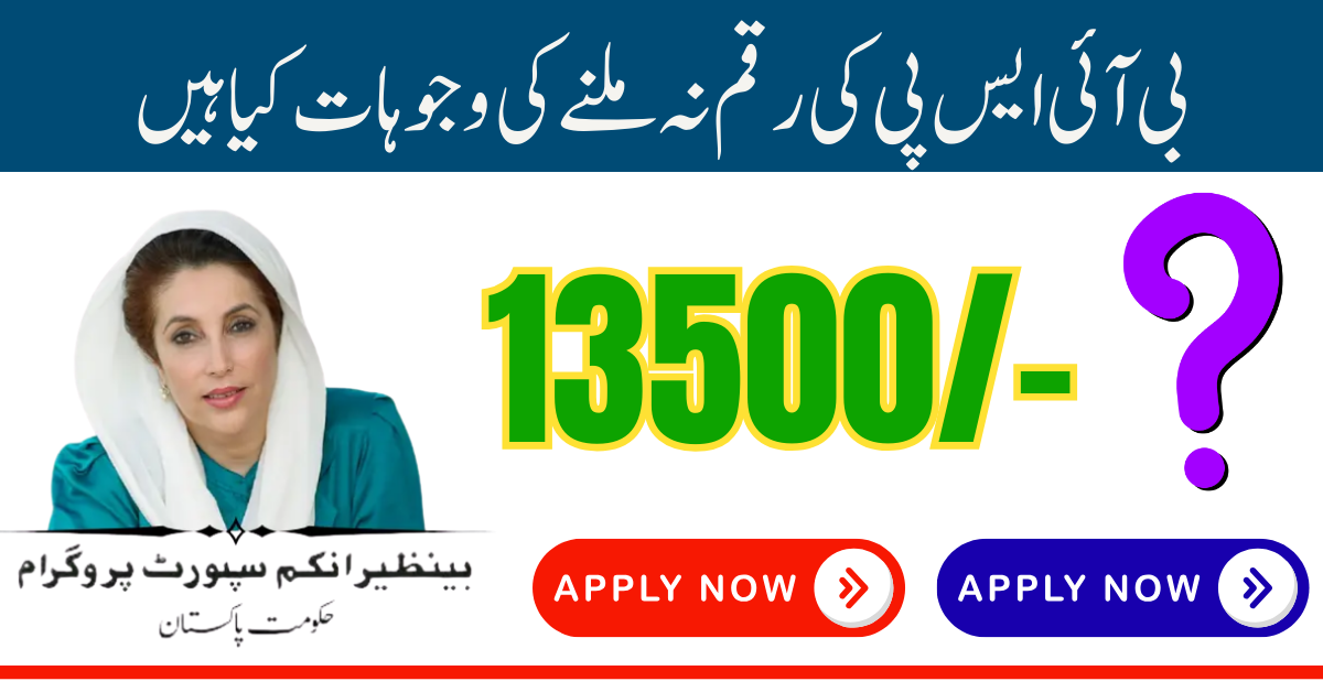 BISP Payment Delay Reasons July 2025 and Their Solutions – Step-by-Step Full Guide